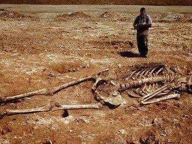 世界上有没有远古巨人，巨人传说中的泰坦巨人真存在