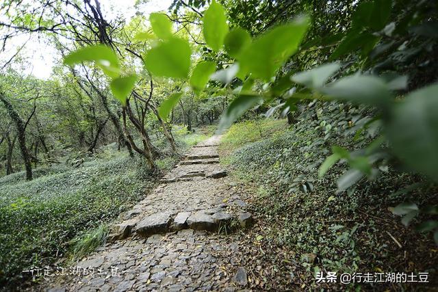 虞山国家森林公园，历史上的虞山公园