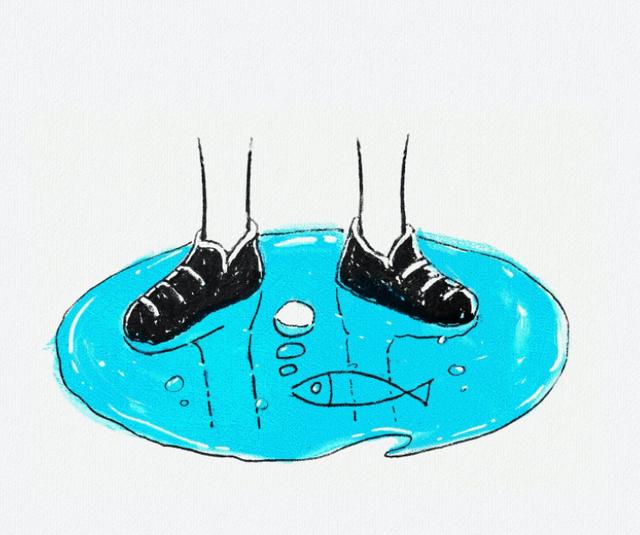 选人不准遇人不淑，遇人不淑 识人不善