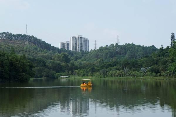 广州石门森林公园游玩，广东颇受欢迎的森林公园