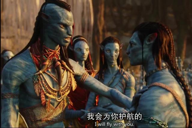 为啥都没看过阿凡达，《阿凡达》不如你想象的一样