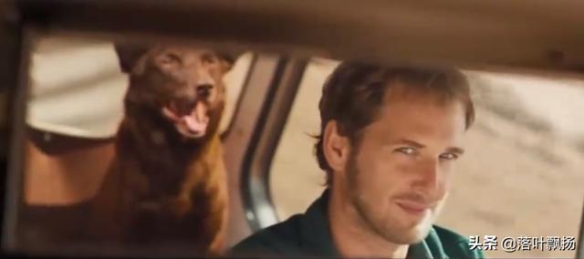 感动全球的几大狗狗电影，感动全球的九大狗狗电影