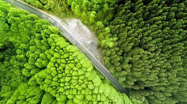 重庆周边凉快的避暑打卡地两三天，重庆周边这⑧个避暑胜地只有25℃