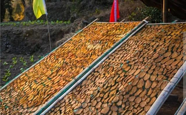雁荡山琅琊阁，自带侠骨柔情属性的琅琊阁原来在这儿