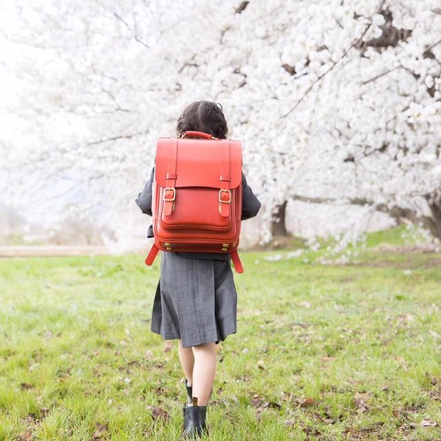 中学生适合什么书包，<Deuter>Ypsilon优习护脊中学生书包