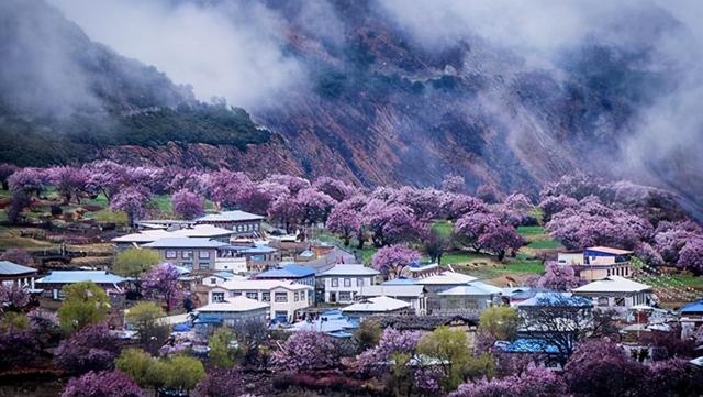 清明节期间适合去哪旅游，清明时节要踏青