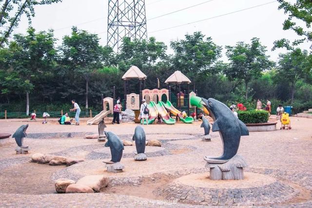 郑州周边免费景点，郑州最近免费旅游景点大全（不出郑州的8个赏花遛娃地）