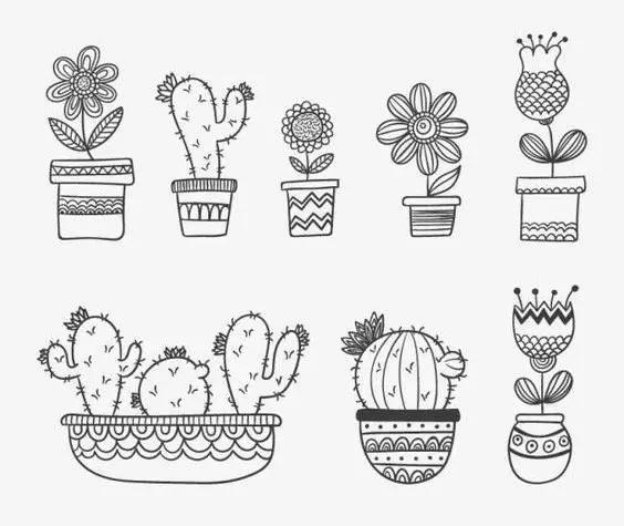 植物手抄报超级简单，植物手抄报小素材