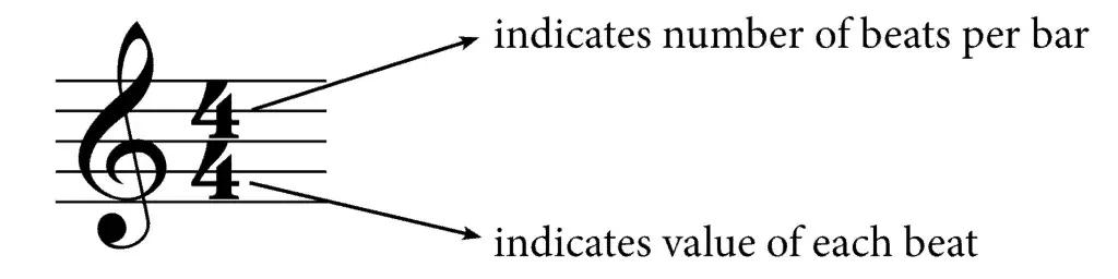 五线谱入门基础知识，五线谱入门讲解