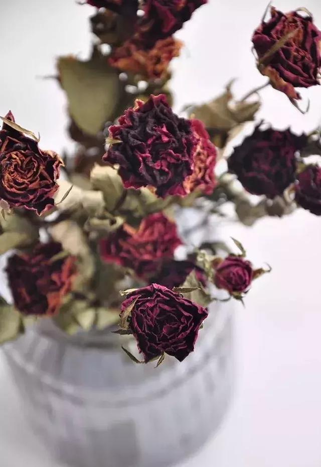 鲜花怎么做成干花，怎么把送的玫瑰花做成干花