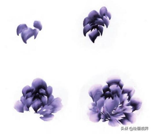 牡丹画法的12种步骤，钛白、藤黄、朱磦、颜料准备好