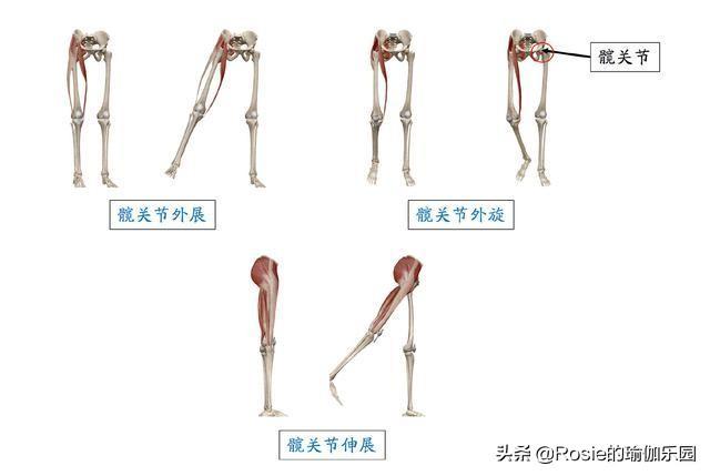 臀側凹陷穿衣丑更顯老，如何擁有蜜桃臀？超模私教4步帶你練 健身減肥達人 第7张