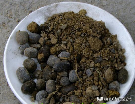 制作花卉营养土的方法，就能自制营养土了