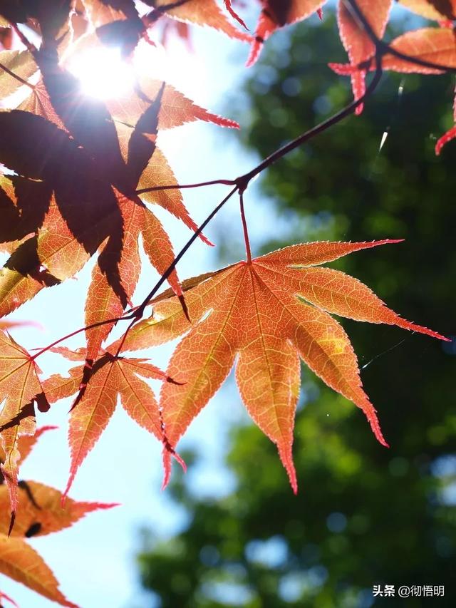 世界最美的地方，世界最美十大地方