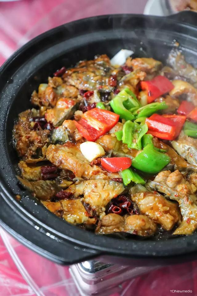 黑龙潭鲶鱼王，电工都搞不定的鲶鱼王