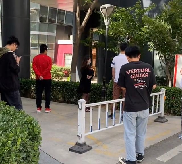 領養小貓嗎？「綁架」代替購買，這才是真正的寵物盲盒 萌趣萌寵 第2张