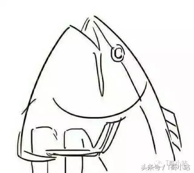 常用的动漫术语，零基础动漫术语文字图解