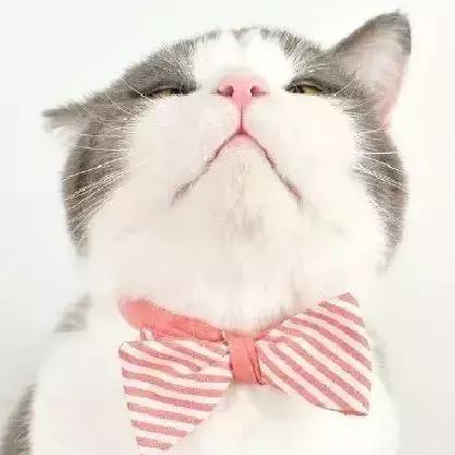 十大震撼人心的动漫主题曲，火遍全网的日本动漫主题曲