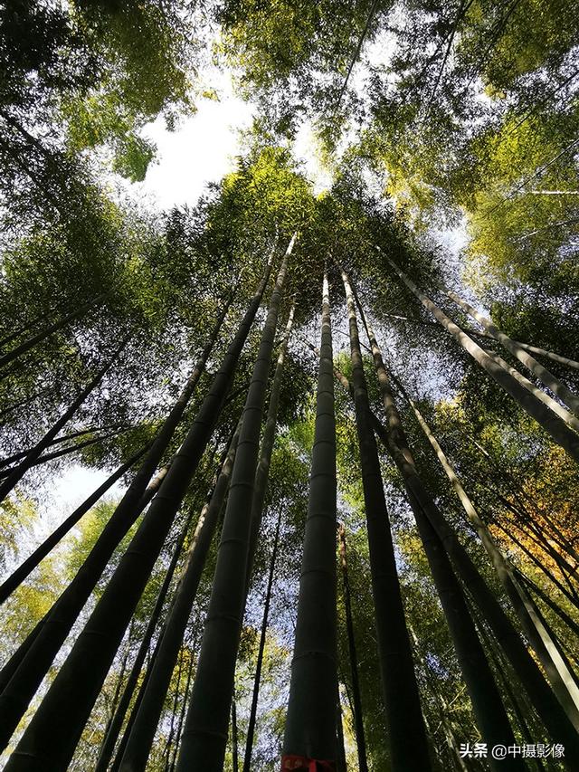 河南十大怪石山，河南八大人气最高的山峰