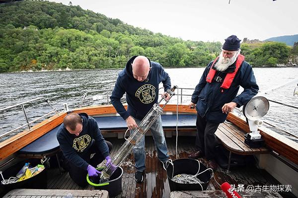 神秘的尼斯湖水怪来自哪里，流传千年的尼斯湖水怪可能只是条大鳗鱼