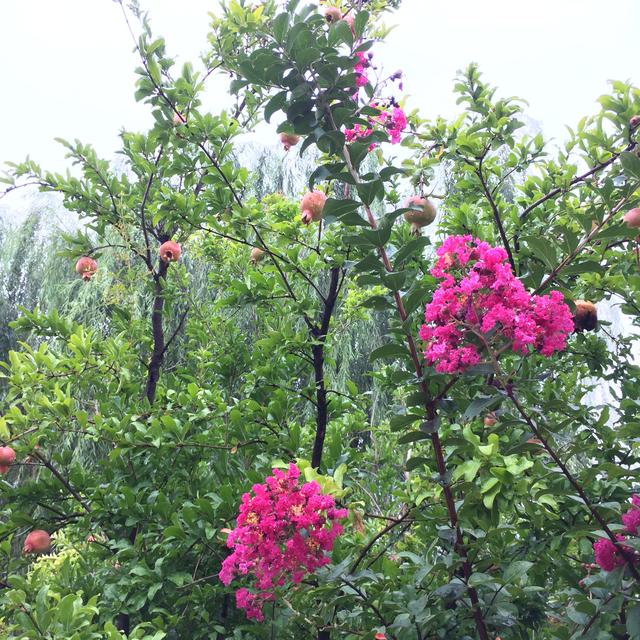 美丽的龙泽湖公园，龙溪湖湿地公园漂亮的地方