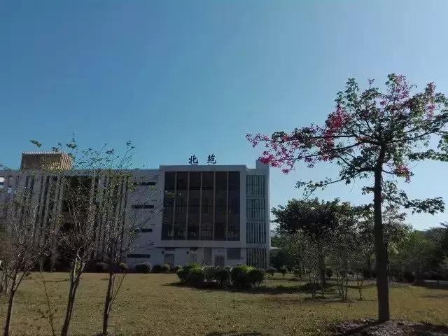 广东金融学院专业，广东金融学院专业一览表