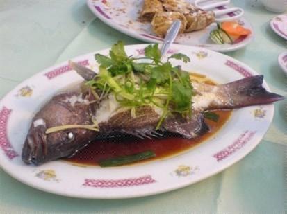 鱼中贵族石斑鱼，野生的顶级石斑鱼