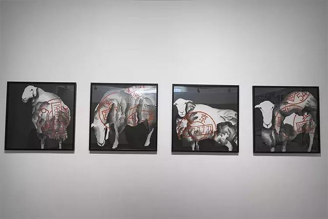 深圳美术馆推荐，深圳这个让我连跑4次的美术馆