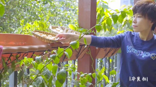 洋姜的做法大全，如何用洋姜做美食（遇见洋姜抓紧囤）