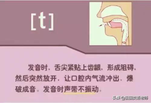 英语音标怎么学，初学英语者必看如何学习国际音标（资深老教师说：音标就该这样学）