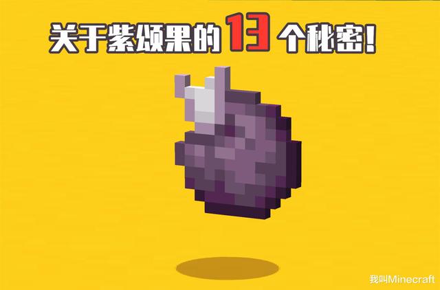 我的世界紫颂果生长判定，我的世界紫颂果