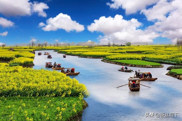 浙江省兴化市，江苏泰州兴化