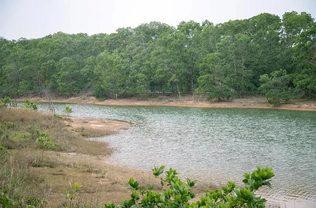 深圳游玩攻略必去的地方免费，7个遛娃好去处全免费