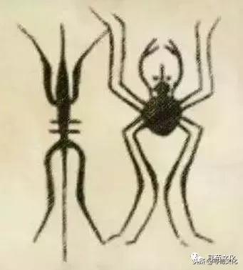 朱-汉字的艺术与中华姓氏文化，古代朱的象形字