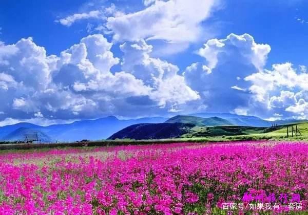 香格里拉旅游攻略，香格里拉一日游玩攻略