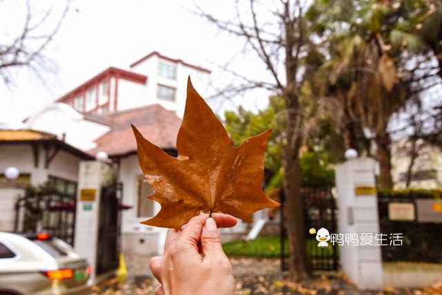 上海十大经典老洋房，当法式浪漫遇上海派花园