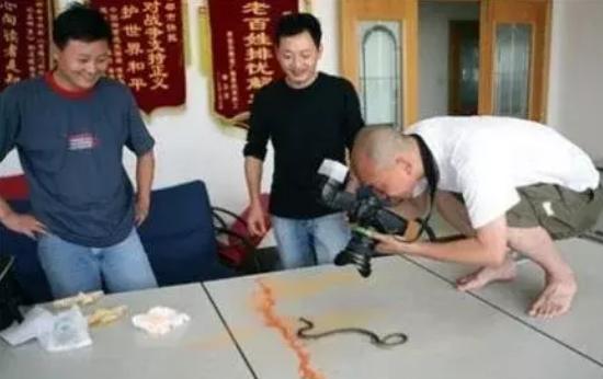 蛇为什么怕雄黄，为什么所有的蛇都怕雄黄（这五种“东西”才是毒蛇的克星）