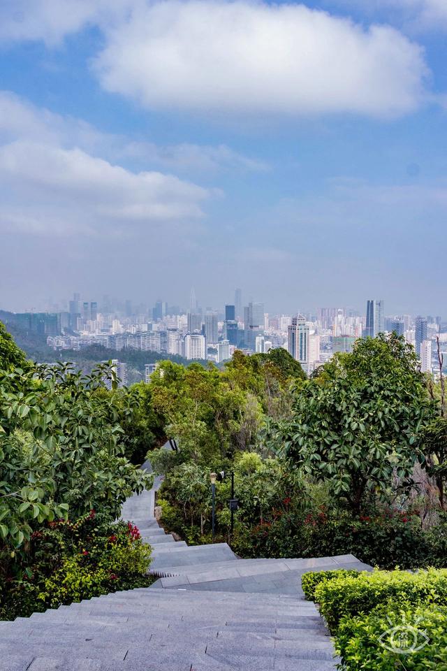深圳旅游攻略景点推荐，深圳十条旅游路线（不完整的旅游景点和美食选择）