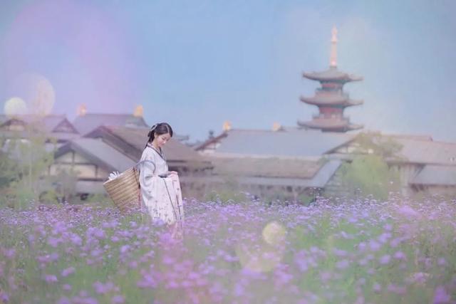 拈花湾攻略必去景点，1600亩拈花湾樱花海