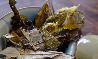 福鼎白茶产区磻溪，带你了解白茶优质产区，磻溪镇
