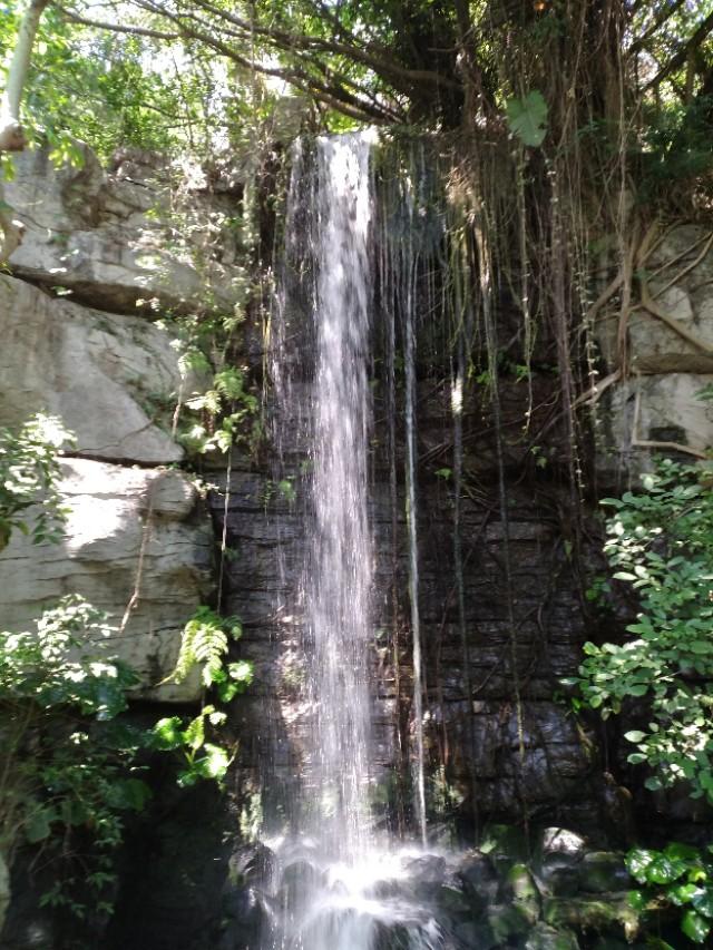 深圳世界之窗晚上有什么看点，最好的风景在门口