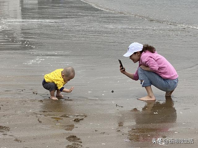 苍南渔寮吃住行玩疗，苍南渔寮沙滩在哪里