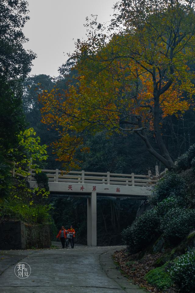 杭州最全登山路线图，可能是杭州最美登山路线之一