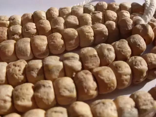 比较容易找到的树籽，不温不火的树籽