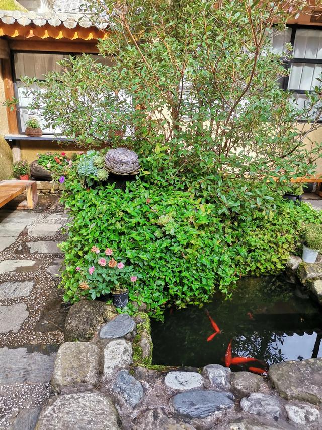 大理苍山游玩攻略，大理苍山旅游攻略自助游（大理苍山游玩攻略）