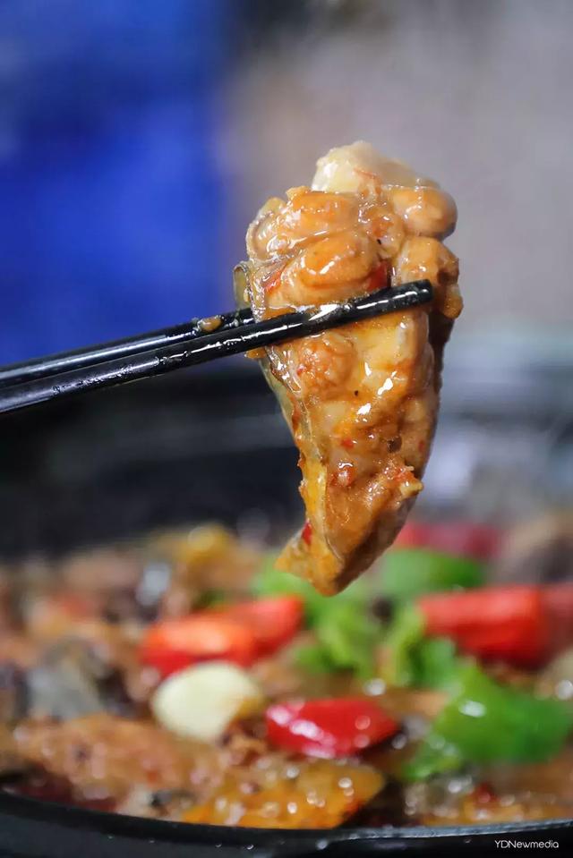 黑龙潭鲶鱼王，电工都搞不定的鲶鱼王