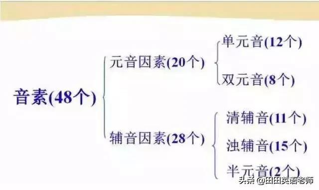 英语音标怎么学，初学英语者必看如何学习国际音标（资深老教师说：音标就该这样学）