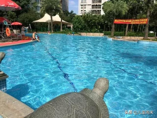 深圳游泳培训成人班，罗湖游泳培训