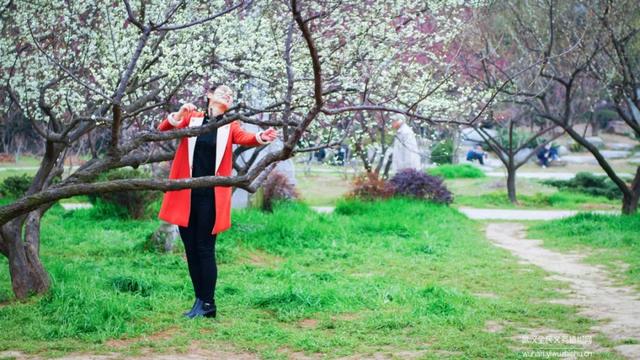 蜡梅与腊梅的区别，蜡梅是梅花吗究竟是（腊梅花与蜡梅有什么区别）