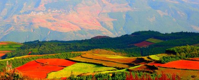 云南人的永久记忆，云南人为何愿做